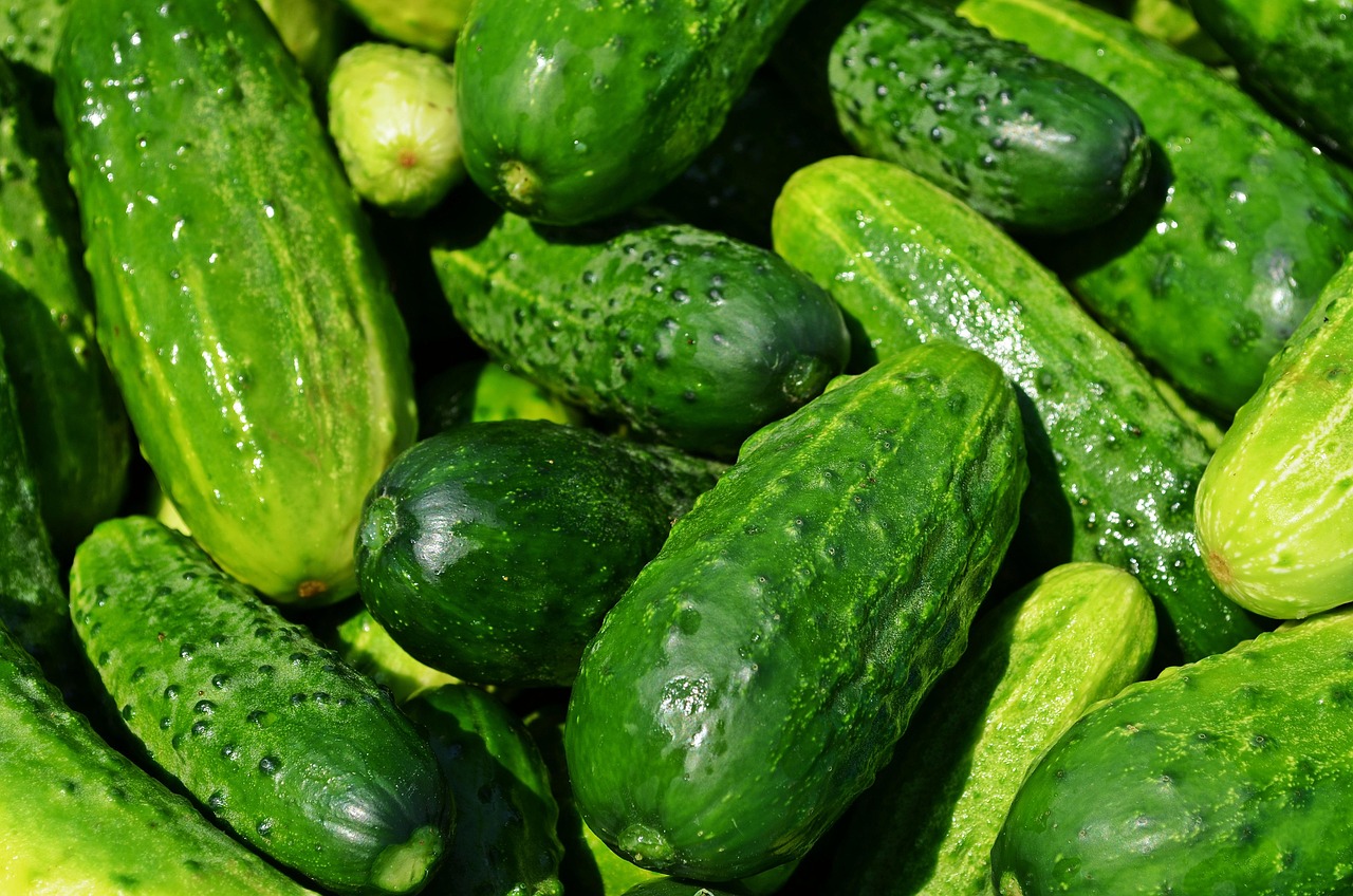 CUCUMBER