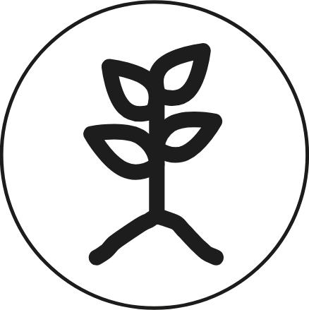 vegetative development