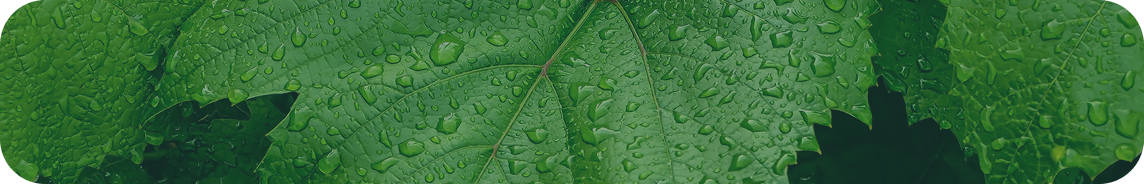 Nanotechnology at the service of agriculture