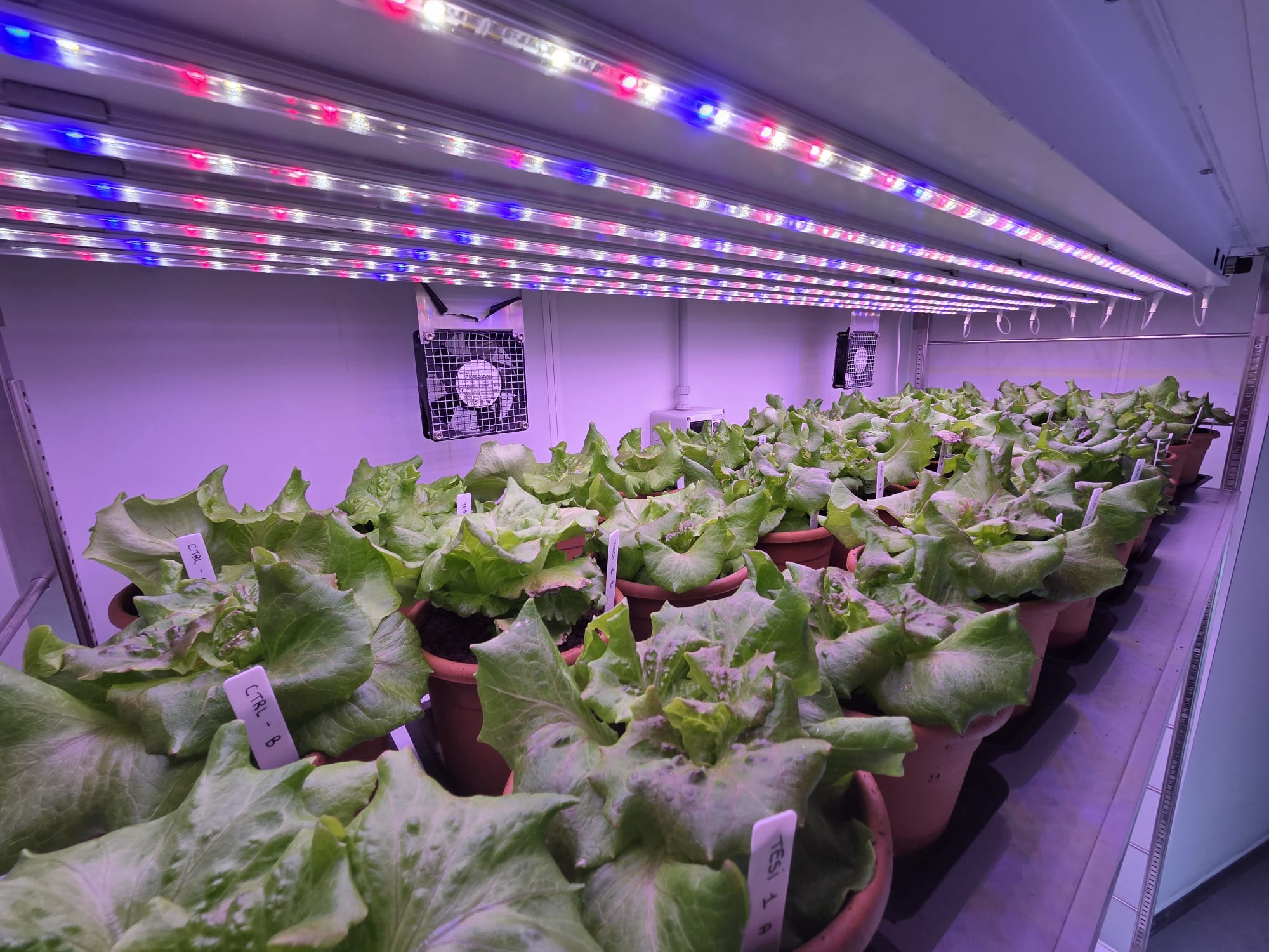 IMG 20250915 WA0043 694a6374d4b2c