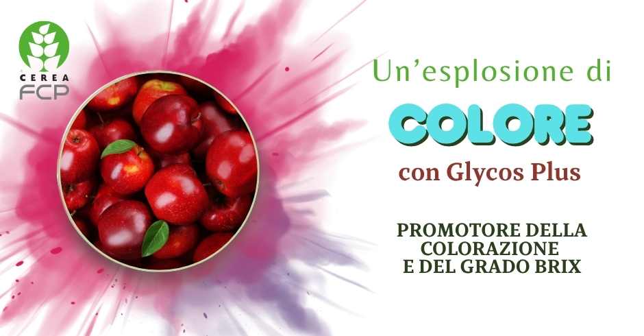 Glycos plus: migliora la colorazione dei frutti su melo, uva da tavola e altre colture