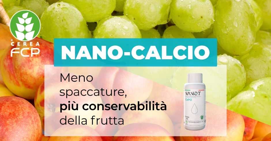 Nano calcio: meno spaccature, più conservabilità della frutta