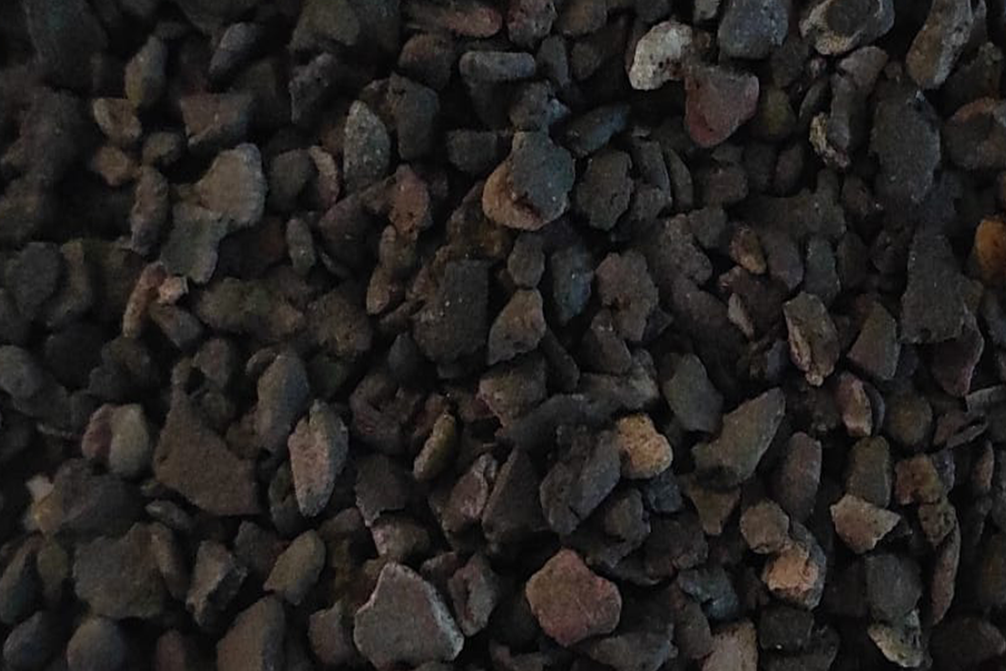 Immagine aggiuntiva di Biorganic N11