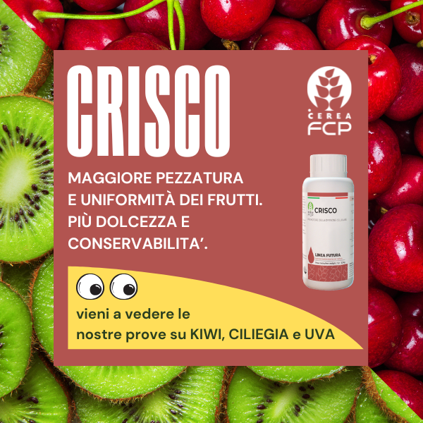 CRISCO: un integratore per aumentare la pezzatura e la conservabilità dei frutti