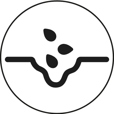 ubicado en el surco de siembra/trasplante