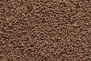 Immagine aggiuntiva di Biocere 533