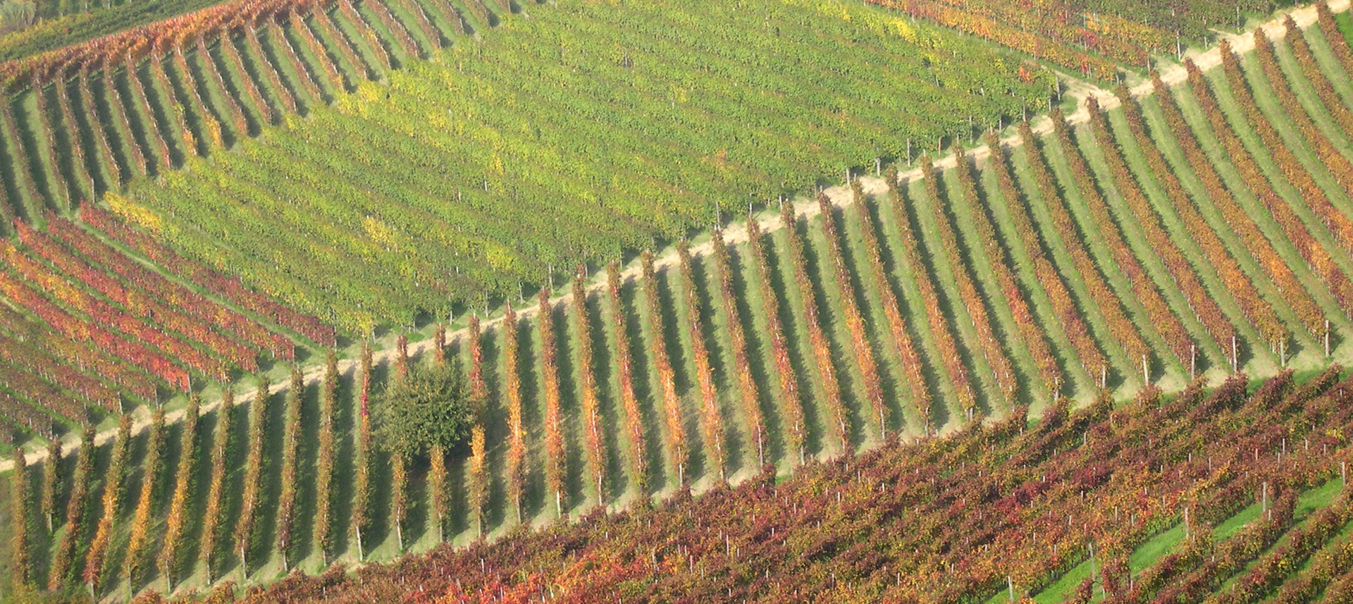 FERTILITA' DEL SUOLO