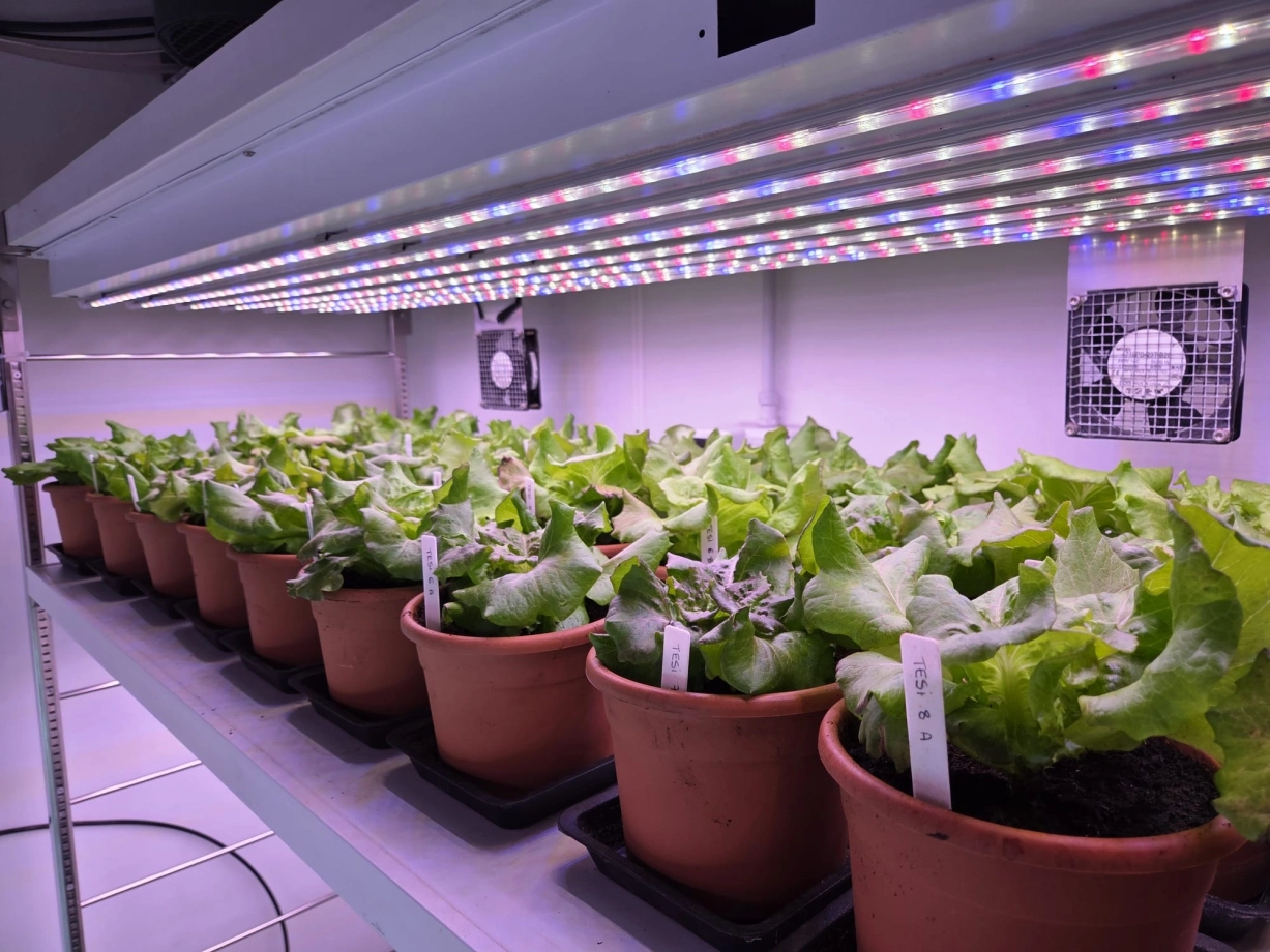 Ricerca e sviluppo in FCP Cerea