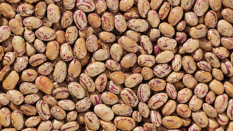 Legumes
