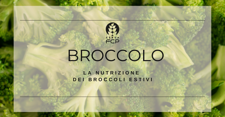 Concimazione dei broccoli estivi