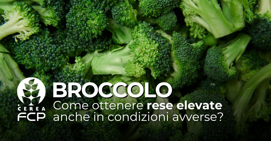 Come ottenere rese elevate anche in condizioni avverse?