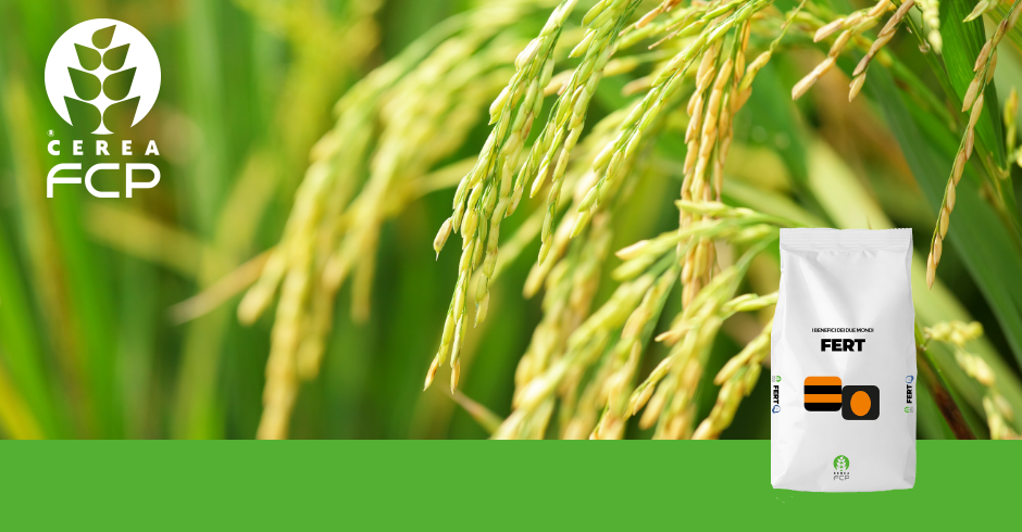 Concimazione del riso in pre-semina