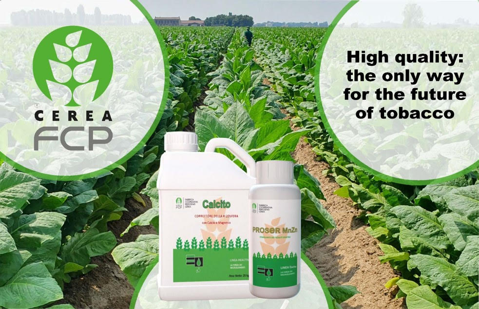 High quality: the only way for the future of tobacco