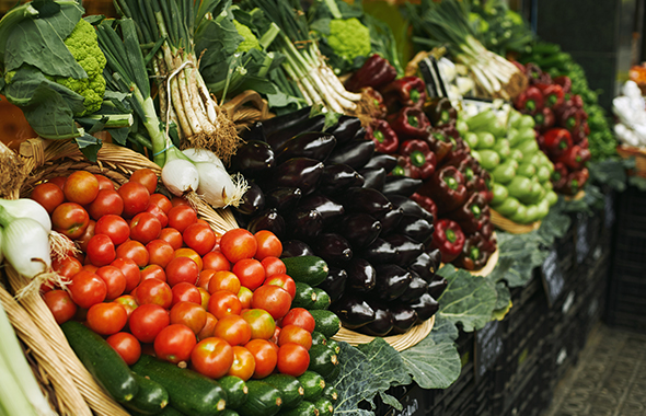 La horticultura: un mercado al que satisfacer