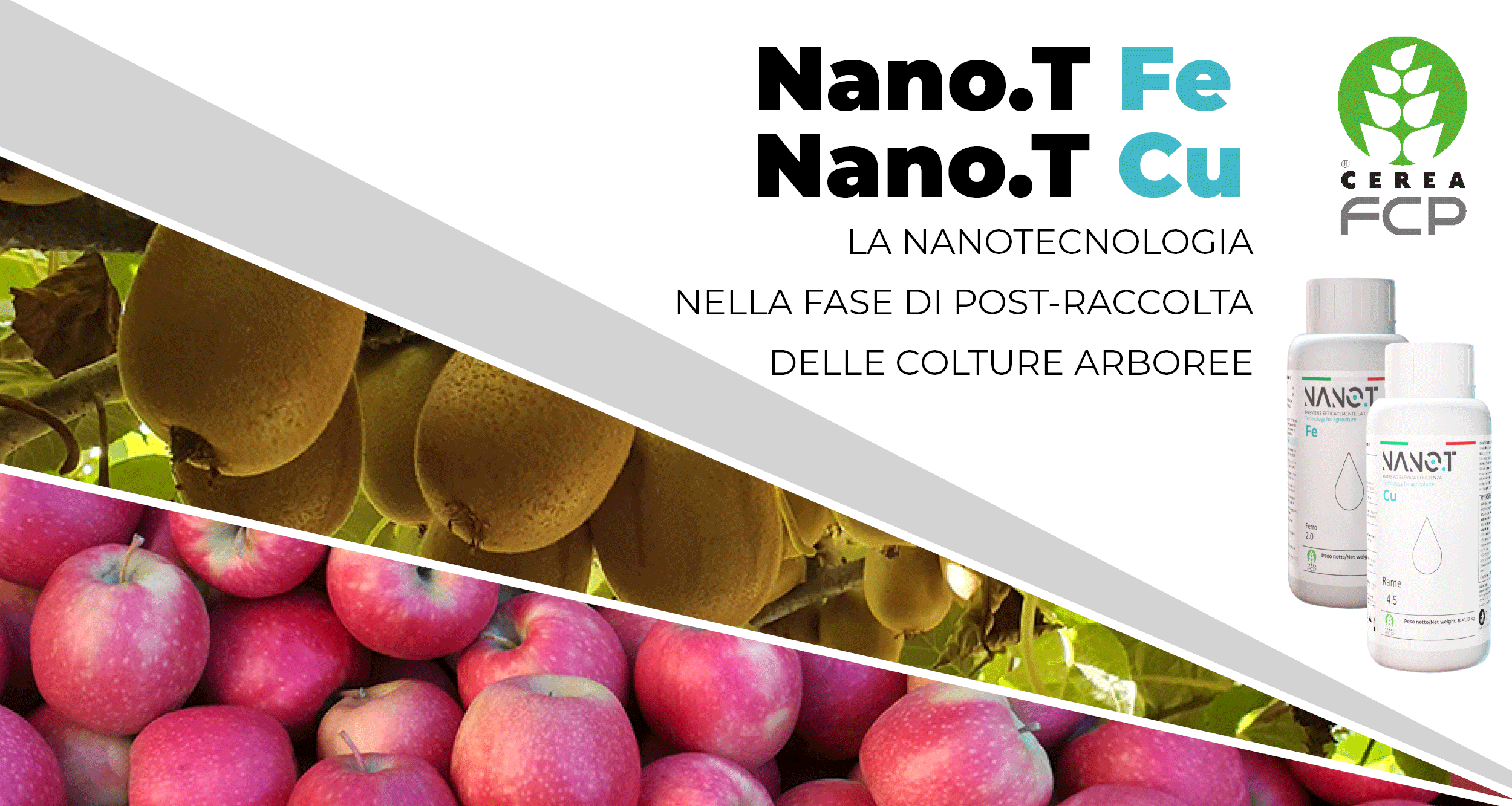 Nano.T Fe e Nano.T Cu: l’importanza del trattamento post-raccolta nelle arboree
