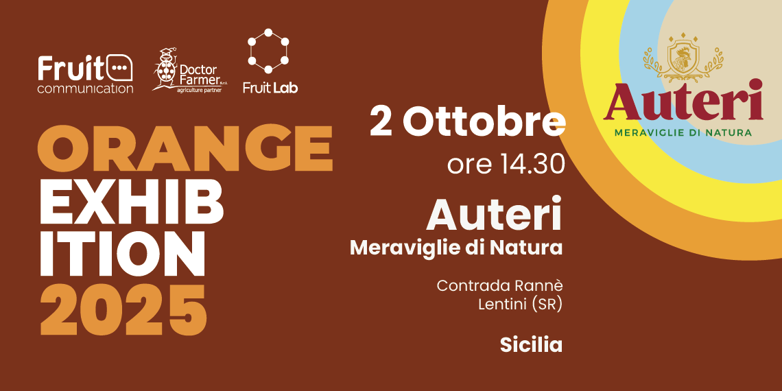 Orange Exhibition 2025