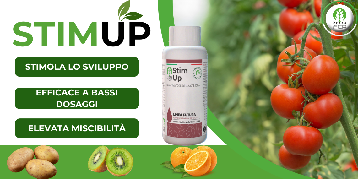 STIMUP: Bioattivatore della crescita ad alta efficienza  ottenuto da acidi umici e fulvici a bassissimo peso molecolare