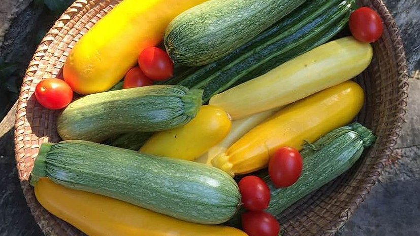 Trapianti autunnali delle orticole