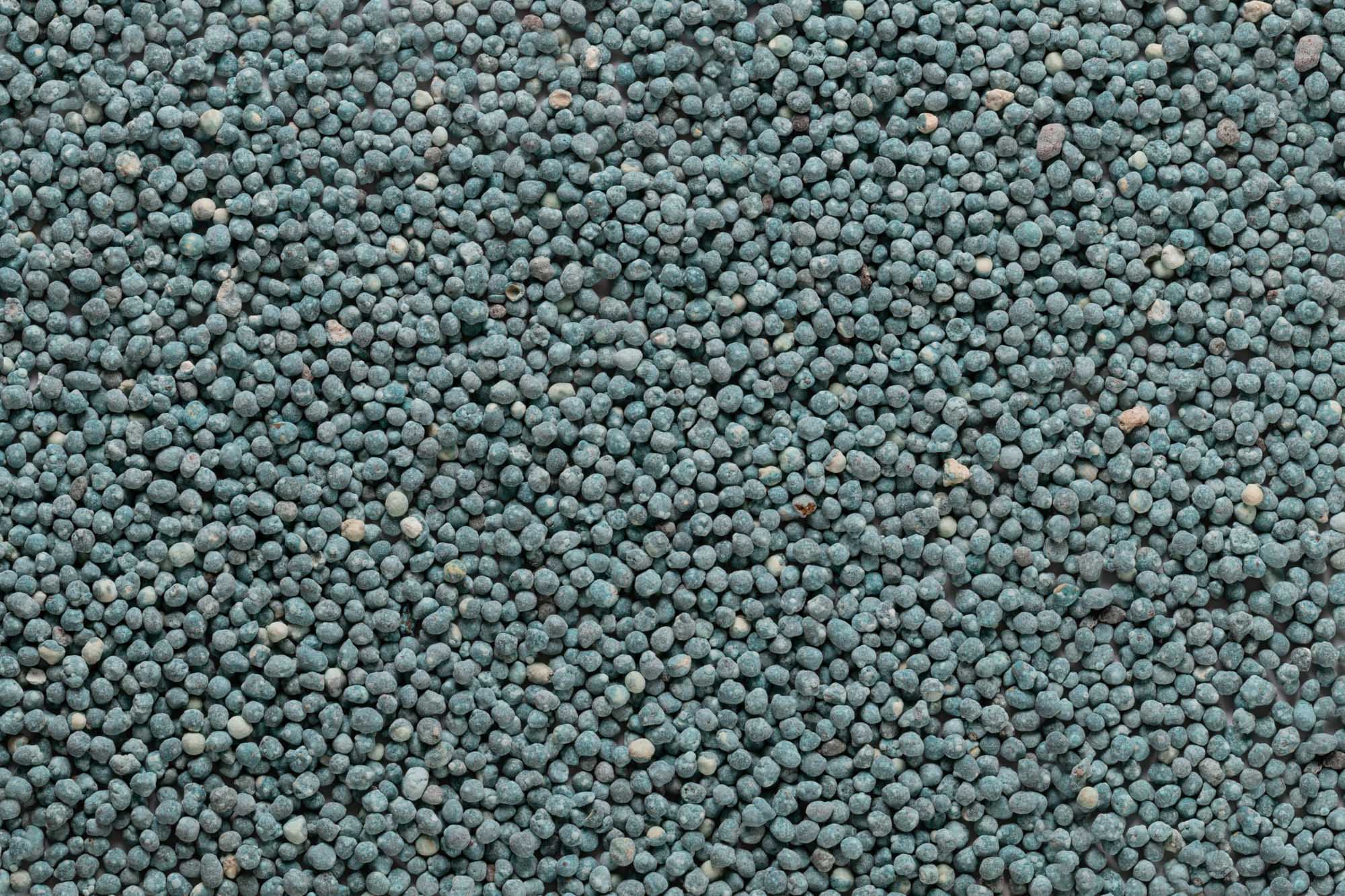 Immagine aggiuntiva di Bluactive