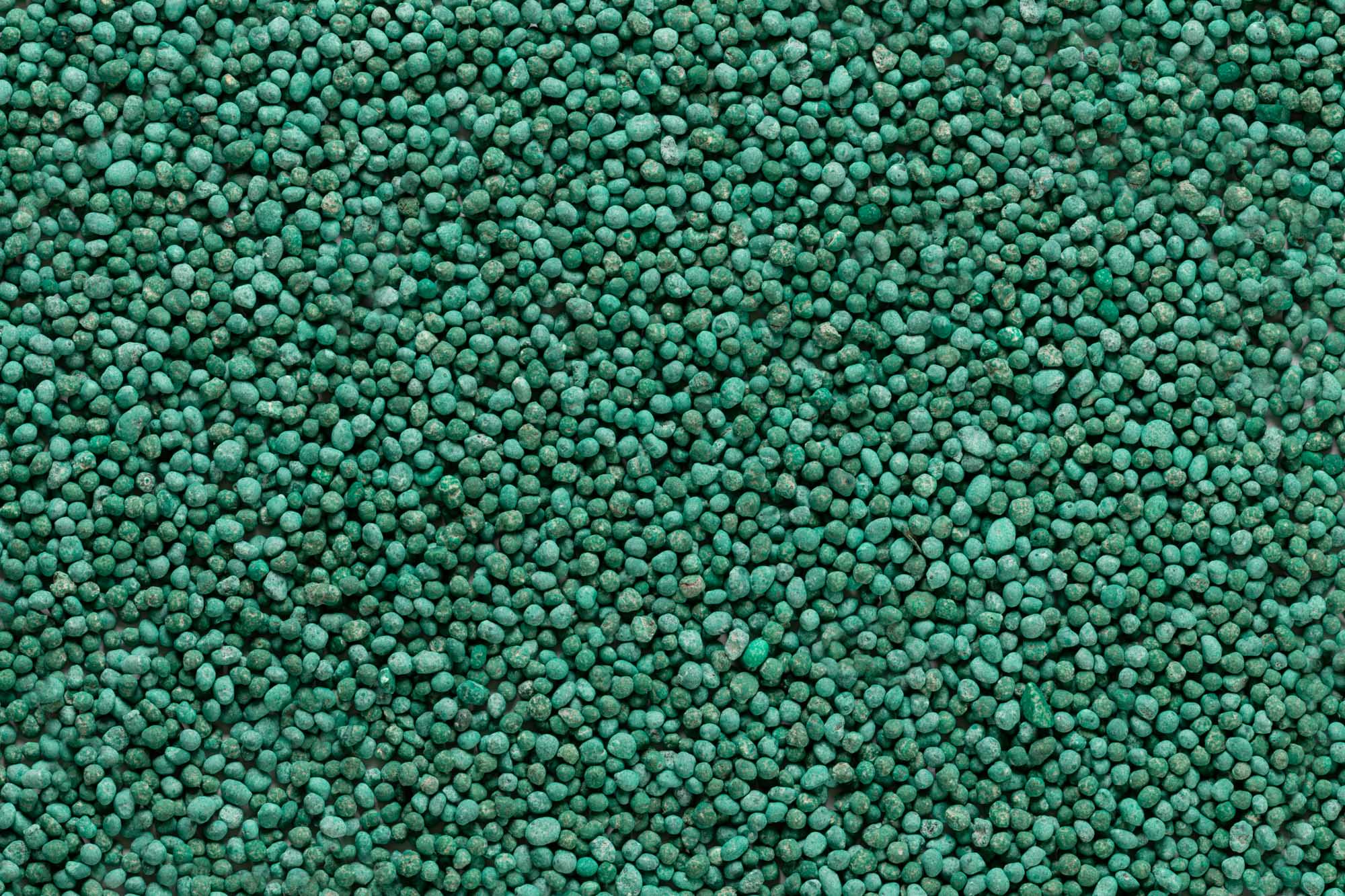 Immagine aggiuntiva di Global