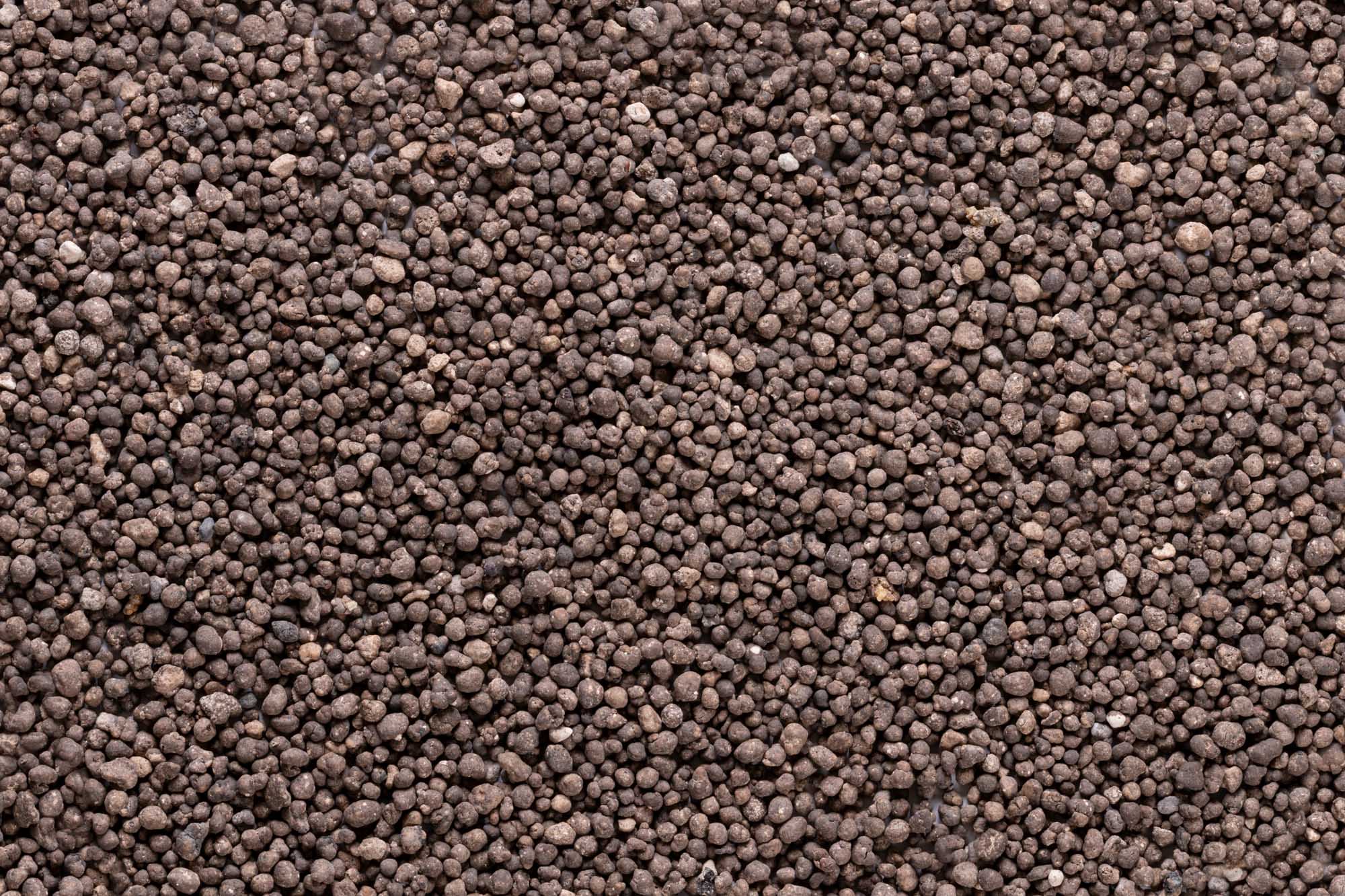 Immagine aggiuntiva di Cereaphos