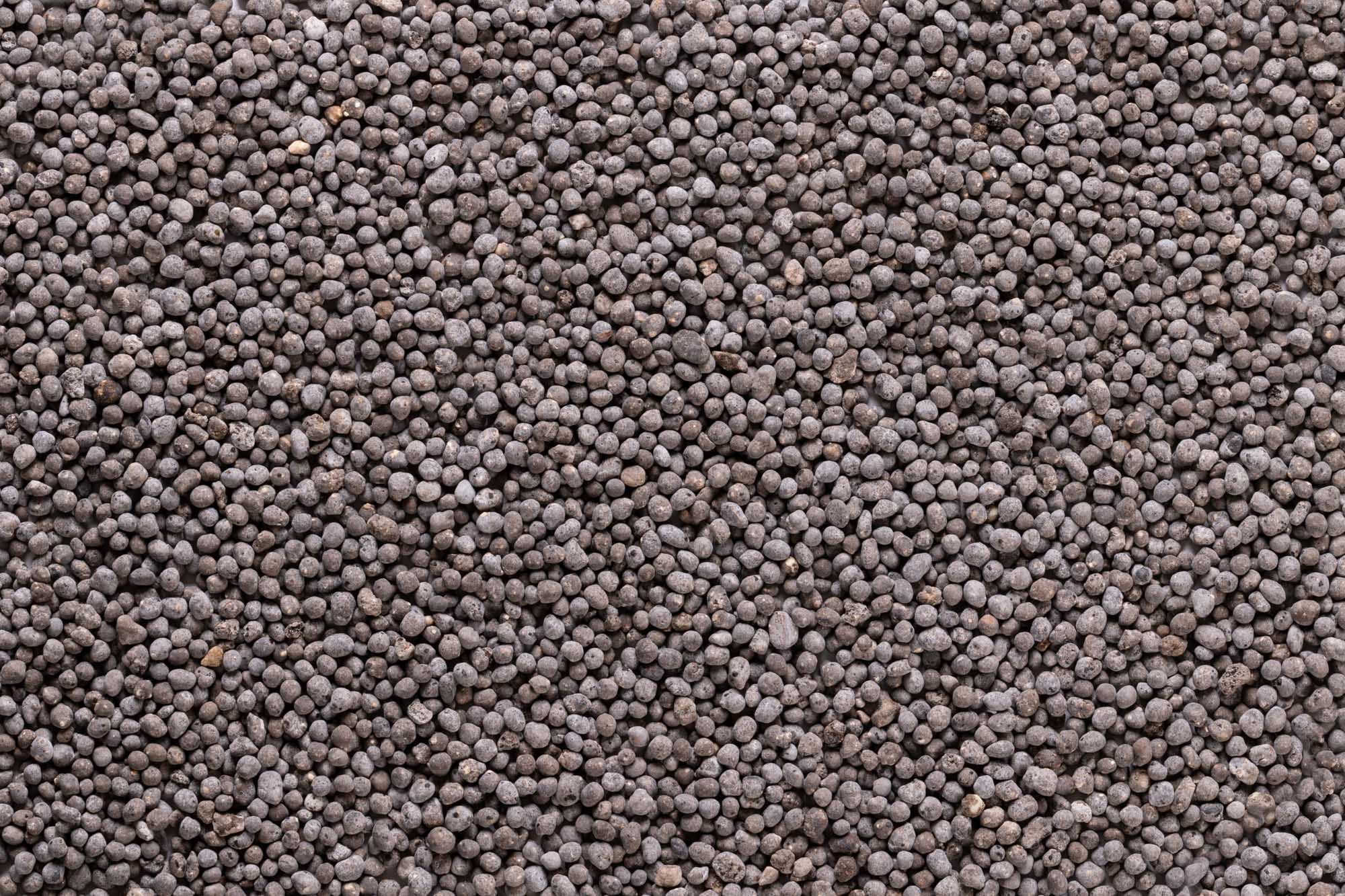 Immagine aggiuntiva di Jolly