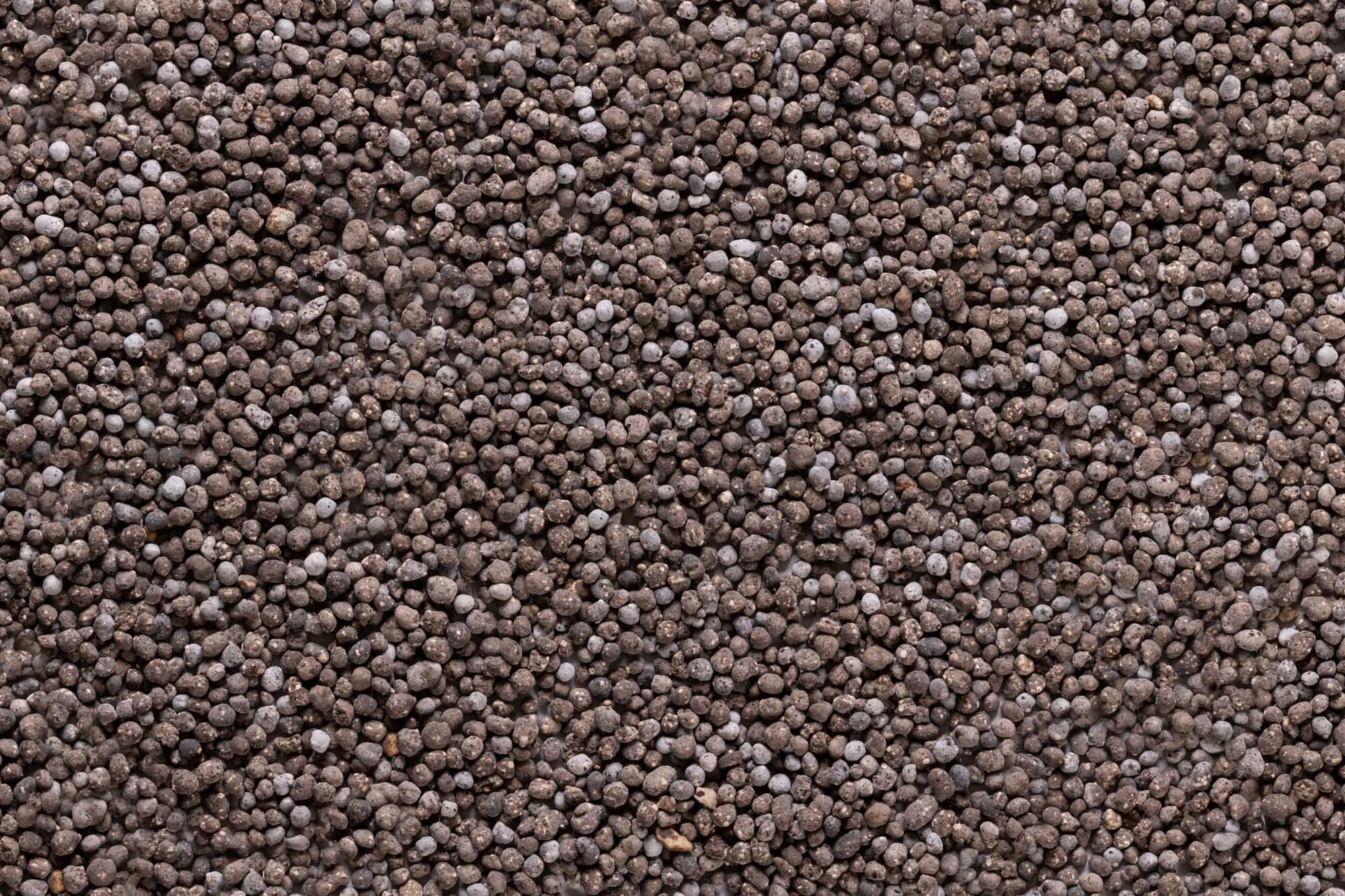 Immagine aggiuntiva di Vinfrutto