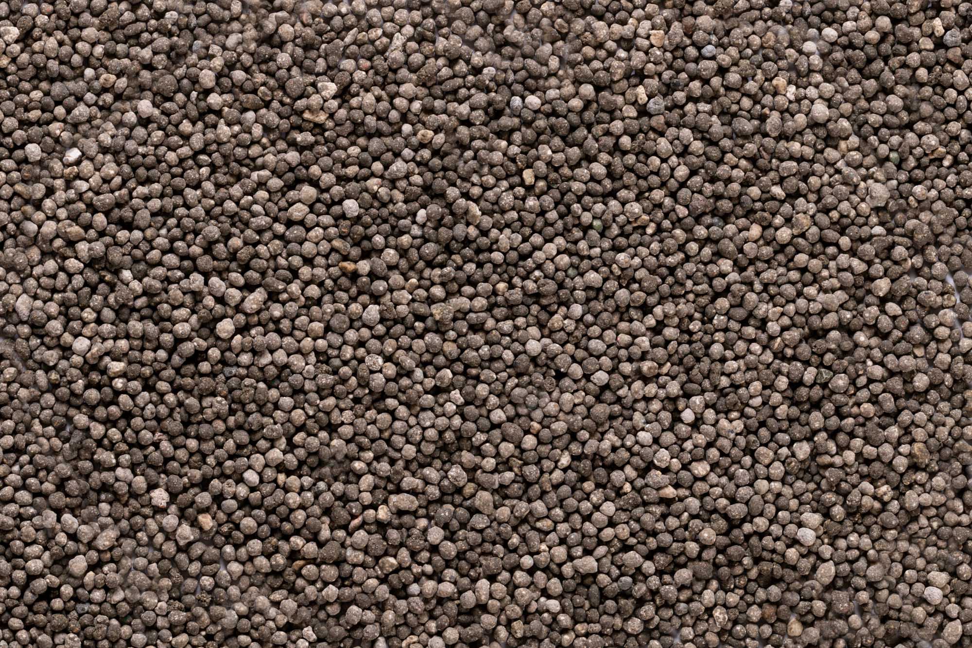 Immagine aggiuntiva di Terra 33