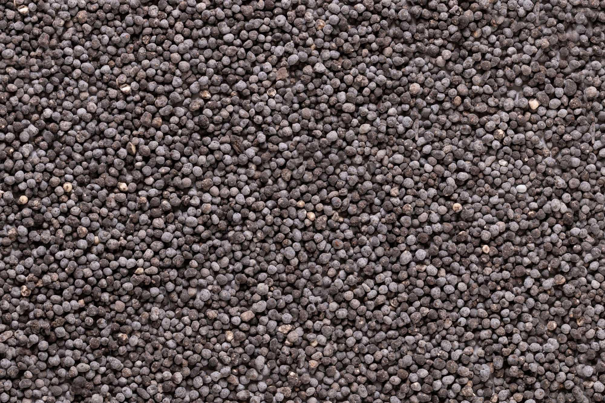 Immagine aggiuntiva di Granoro