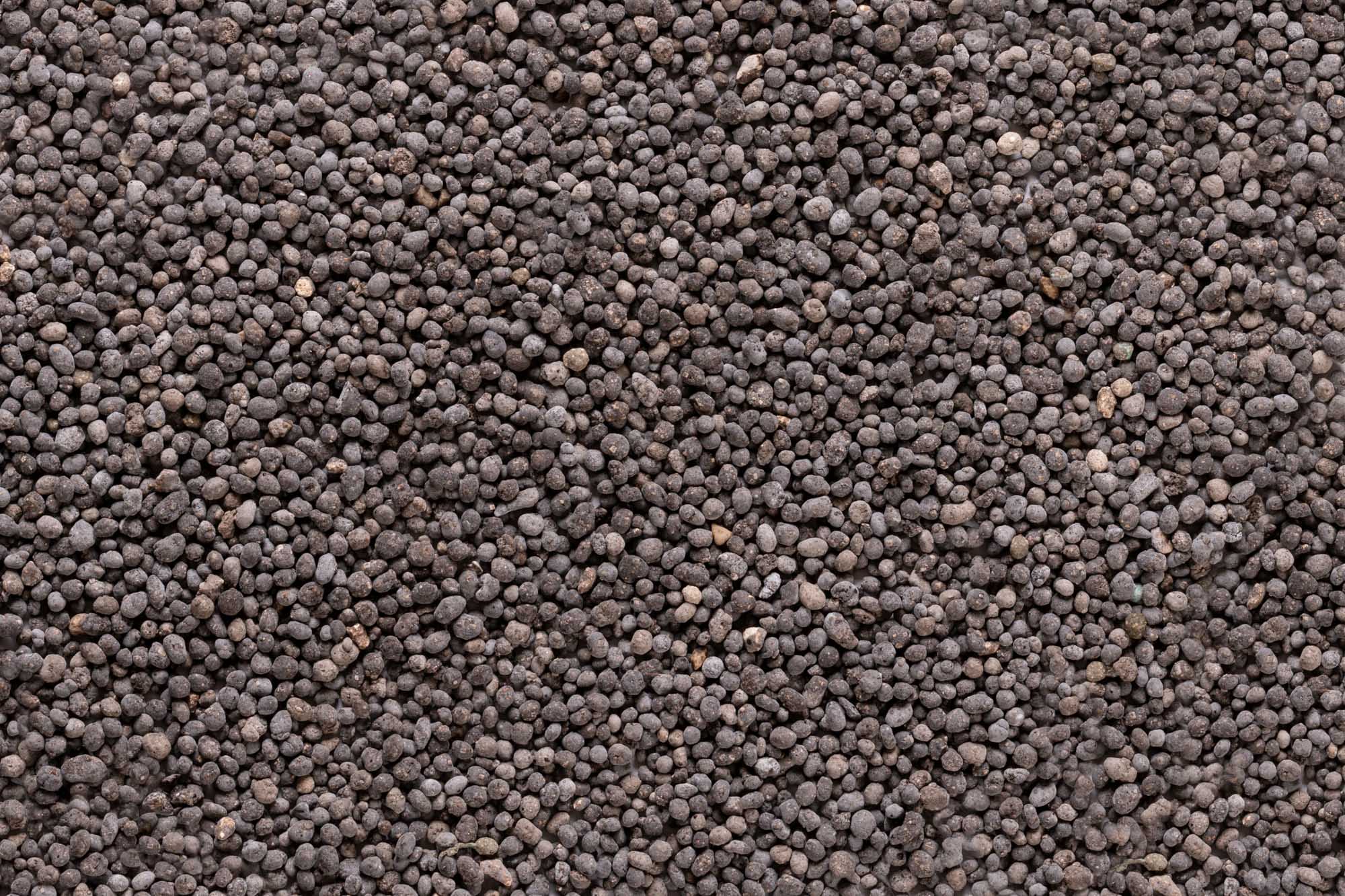 Immagine aggiuntiva di Ortofrutto Special