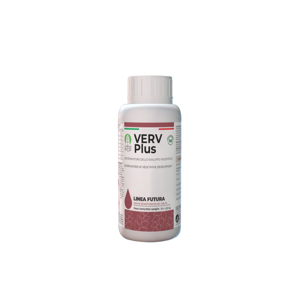 Verv Plus