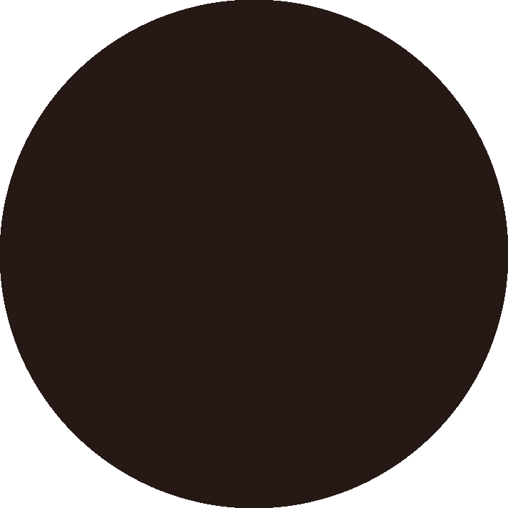 Immagine aggiuntiva di Leaf N-Fast