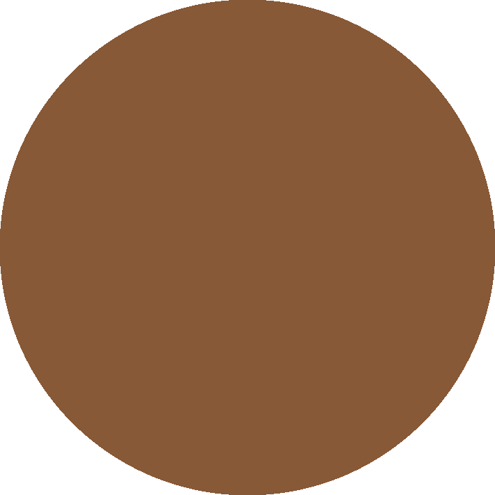 Immagine aggiuntiva di Nano.T® CaPO