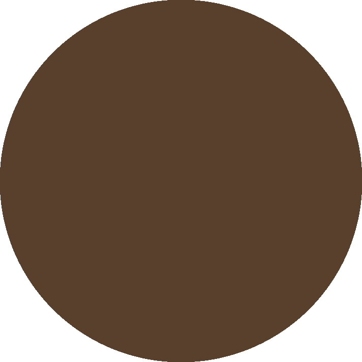 Immagine aggiuntiva di Nano.T® Fe