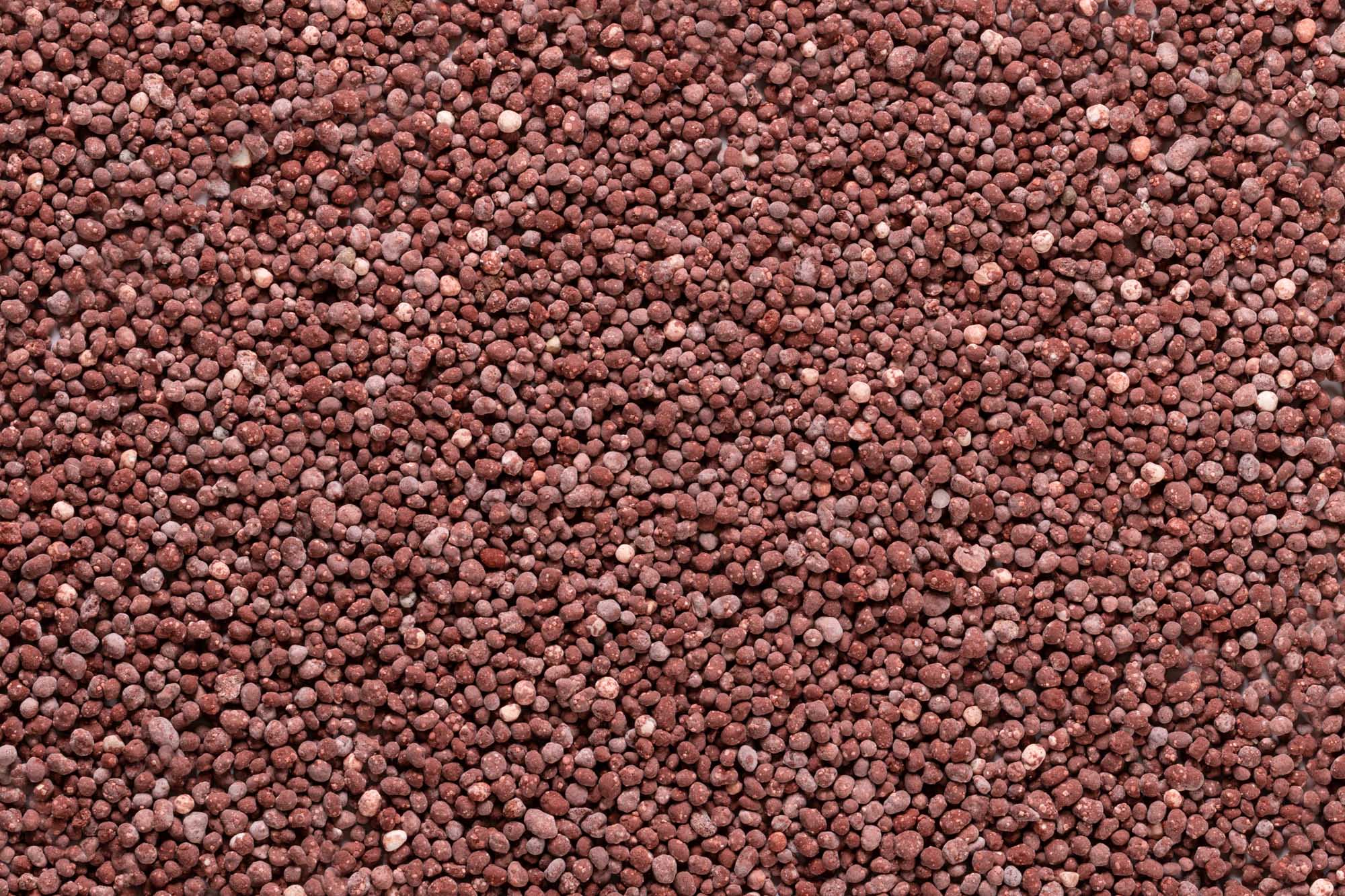 Immagine aggiuntiva di Control