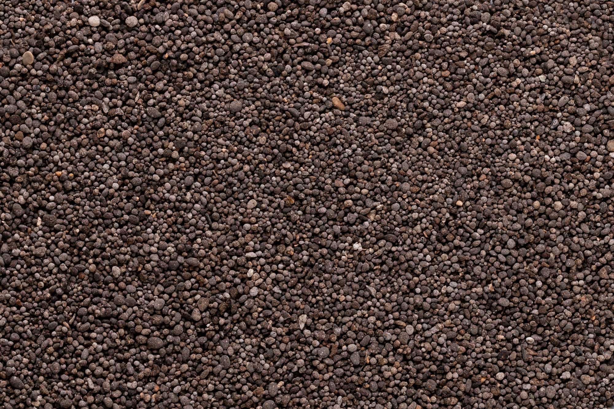 Immagine aggiuntiva di BioMaster