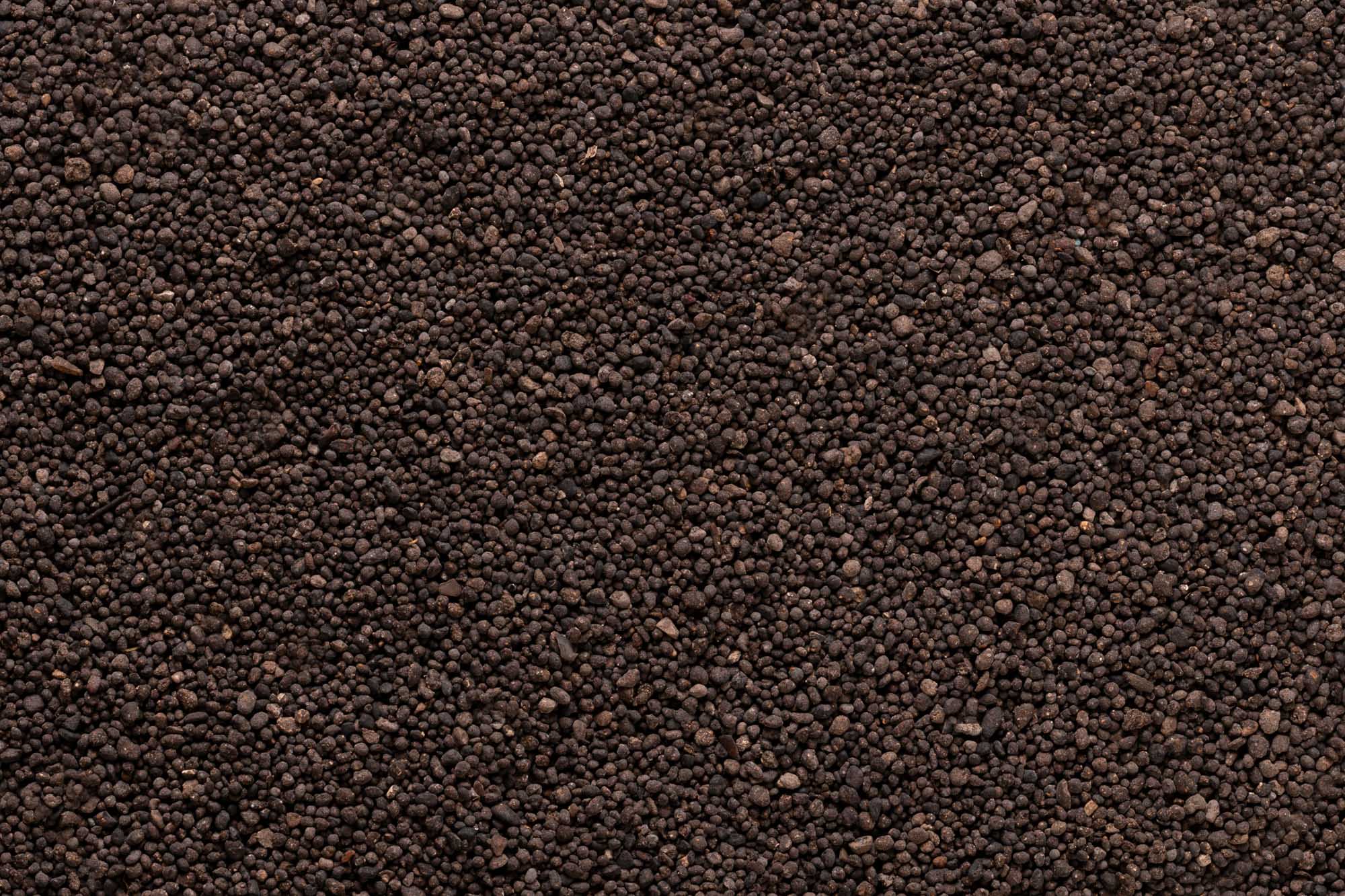 Immagine aggiuntiva di BioNascor