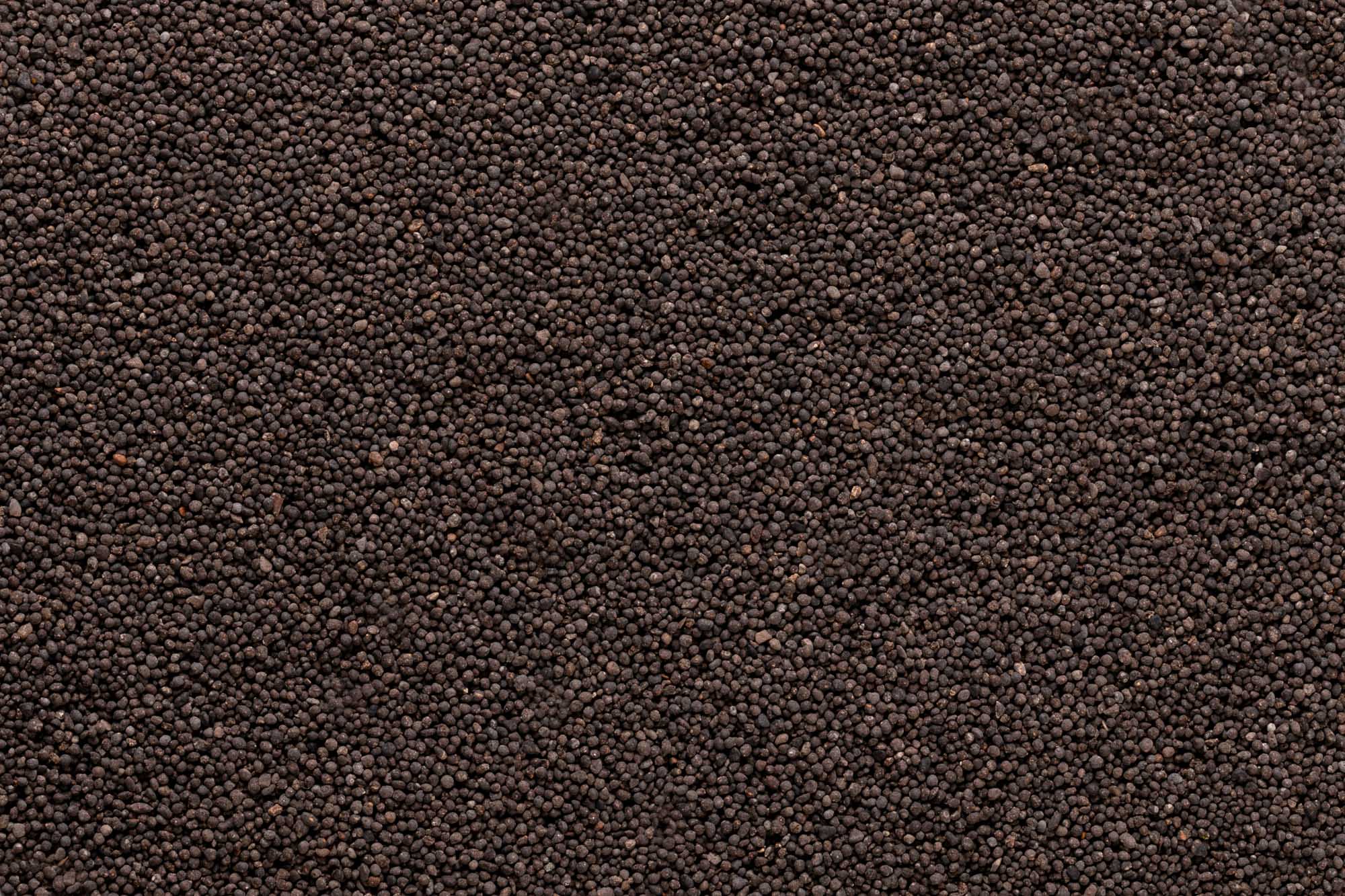 Immagine aggiuntiva di Power BioAger