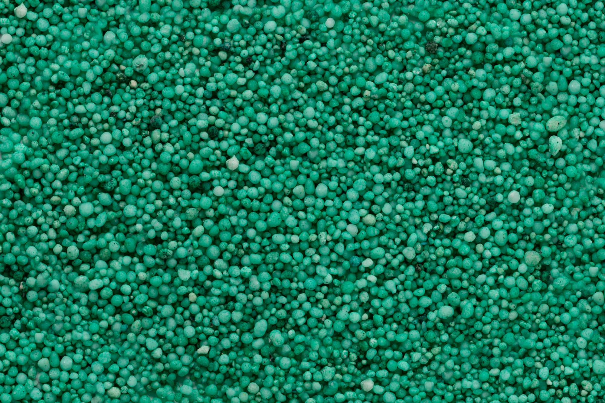 Immagine aggiuntiva di Evolution 56