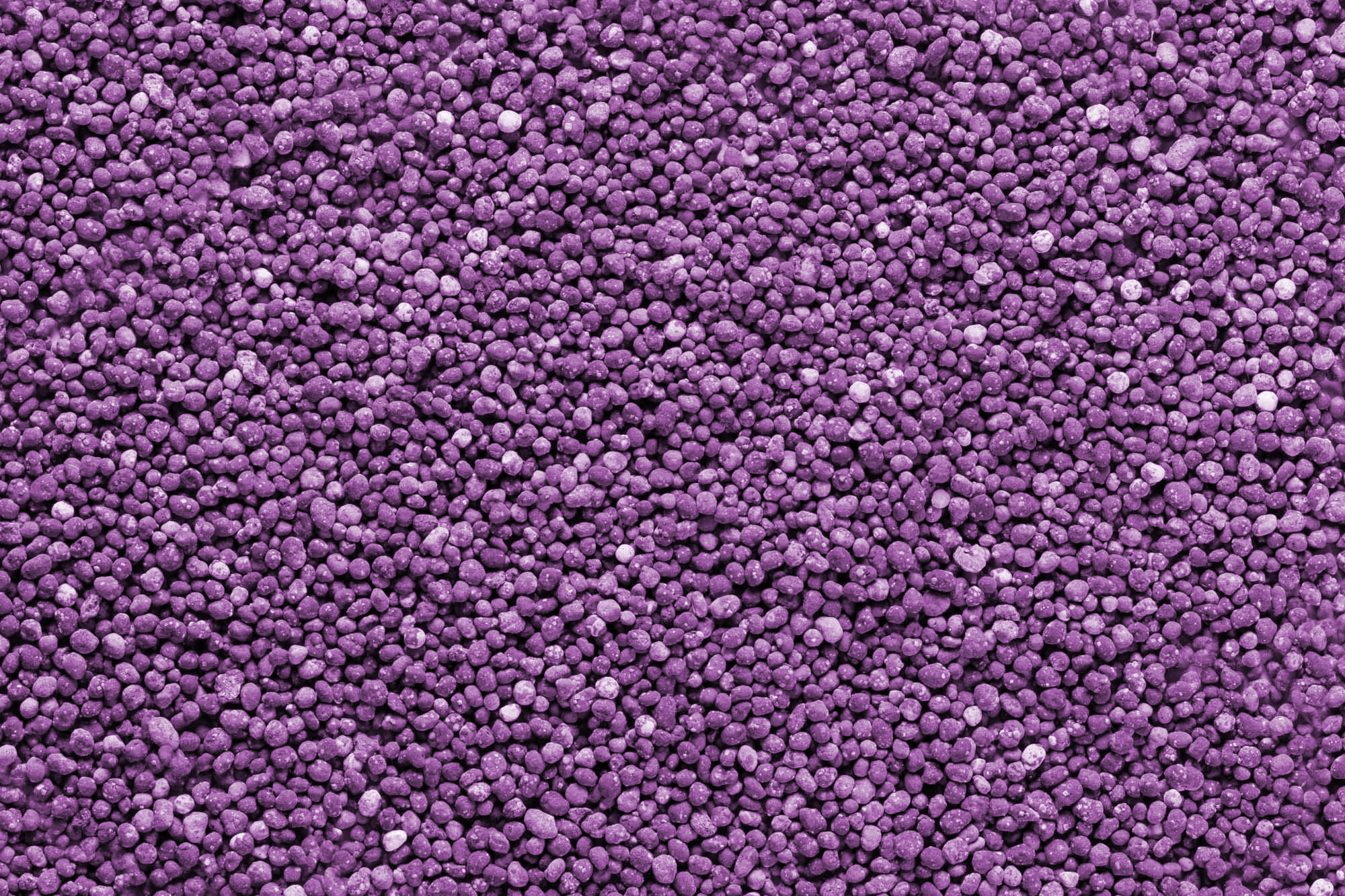 Immagine aggiuntiva di Più Sprint