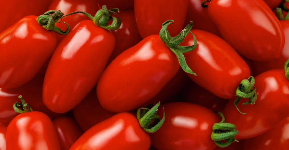 Fioritura e allegagione del pomodoro da industria: strategie nutrizionali per massimizzare resa e qualità