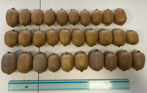 sintesi crisco4