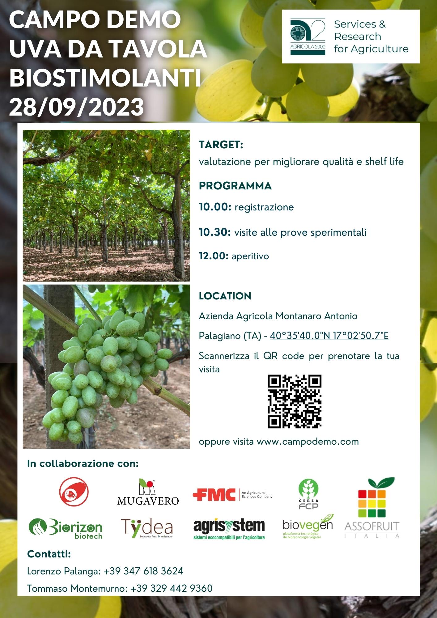 CAMPO DEMO UVA DA TAVOLA BIOSTIMOLANTI