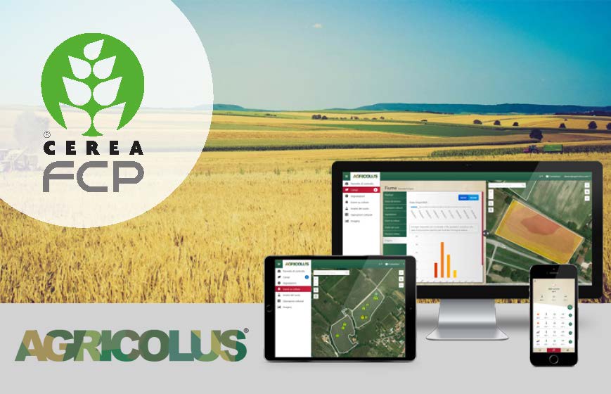 Cerea FCP: l'innovazione in Agricoltura