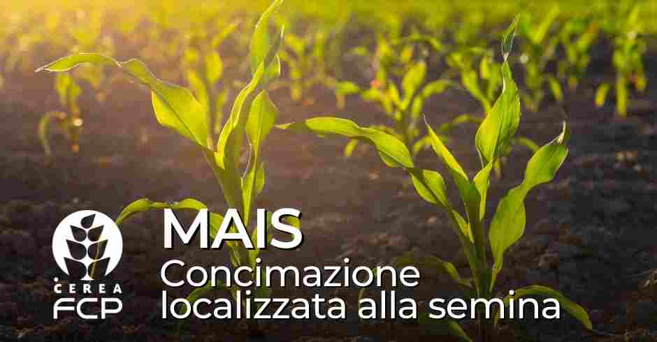 MAIS: concimazione localizzata per una migliore efficacia