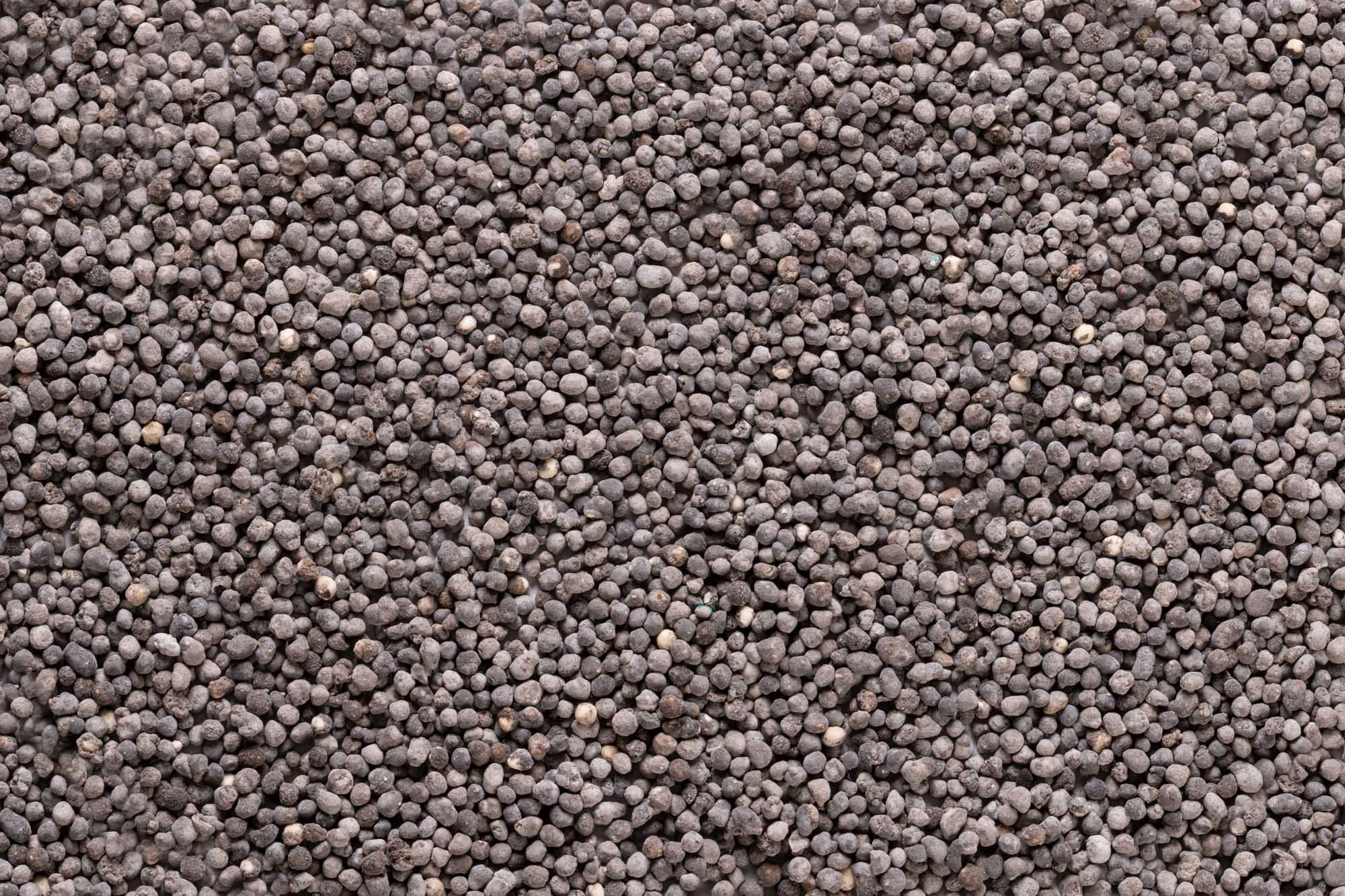 Immagine aggiuntiva di Universal Up