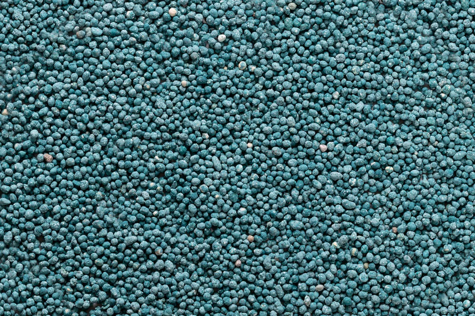 Immagine aggiuntiva di Cerea Blu