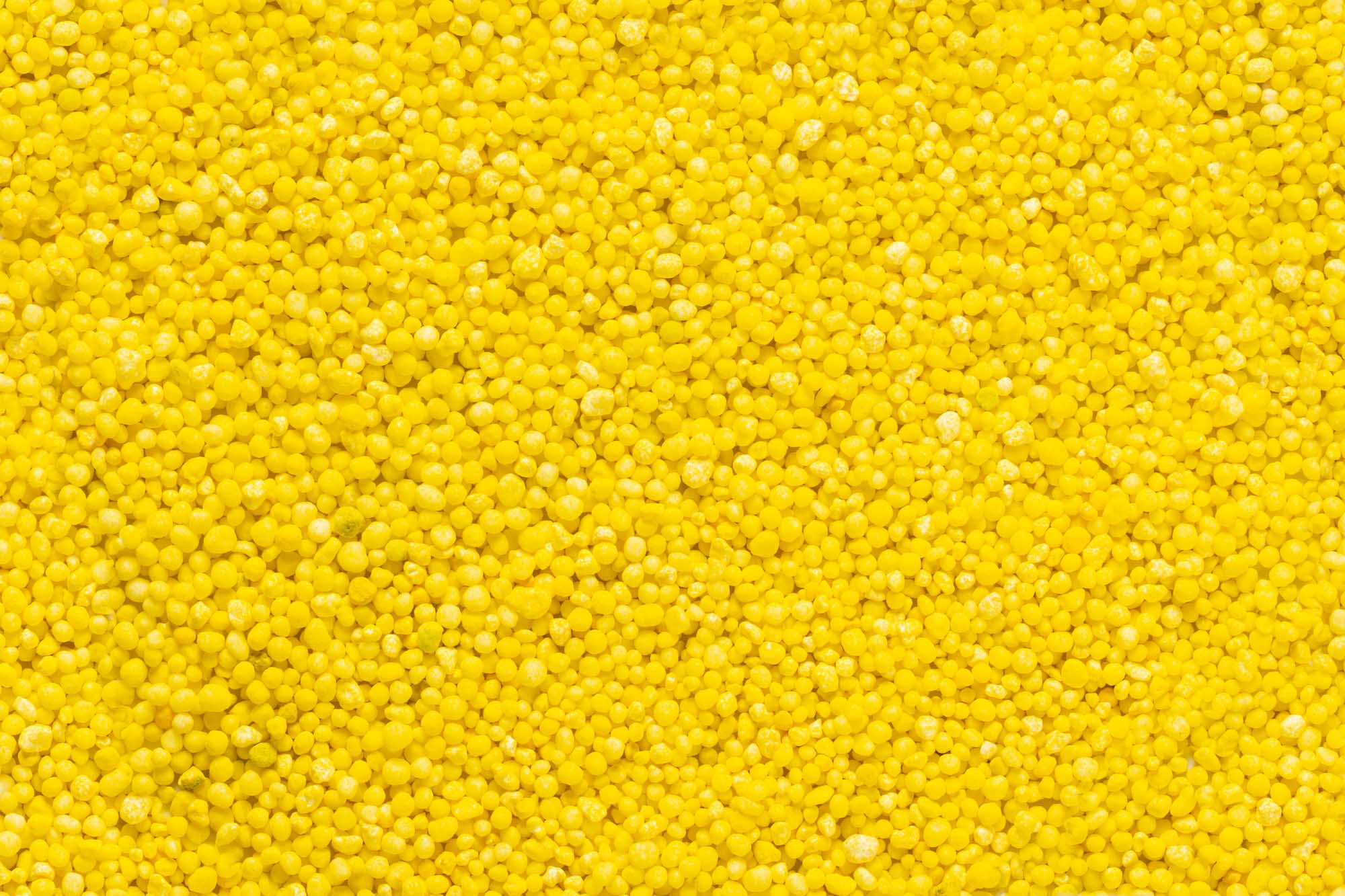 Immagine aggiuntiva di Cereas 38