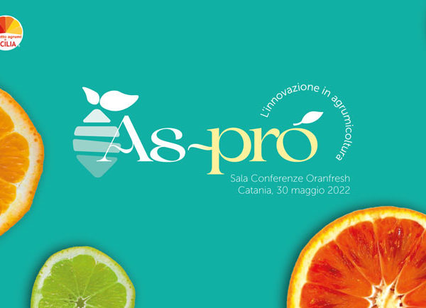 As-pró – Innovation in citrus cultivation: citrus fruit rootstocks and iron chlorosis, production aspects and phytosanitary impact