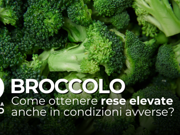 Come ottenere rese elevate anche in condizioni avverse?